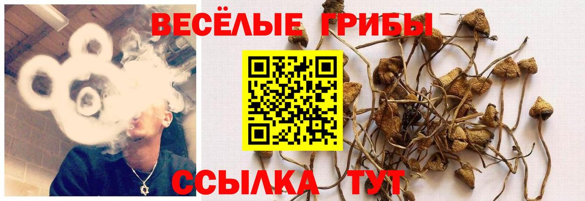 Донецк  Галлюциногенные грибы Psilocybe  Вход с VPN  Галлюциногенные грибы Magic Shrooms 